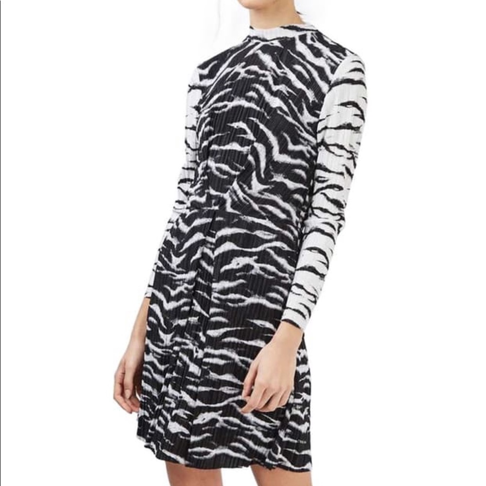 Topshop Zebra Dress